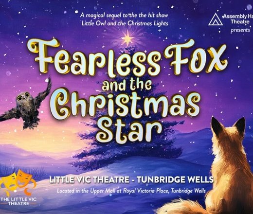 fearless-fox-and-the-christmas-star