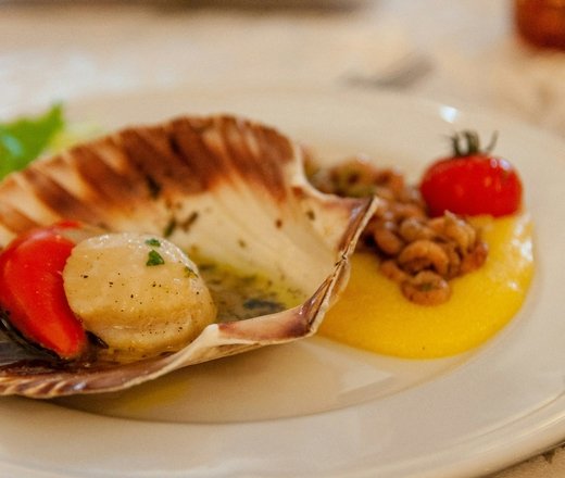 marika-sartori-zKxvjFw79Kc-unsplash