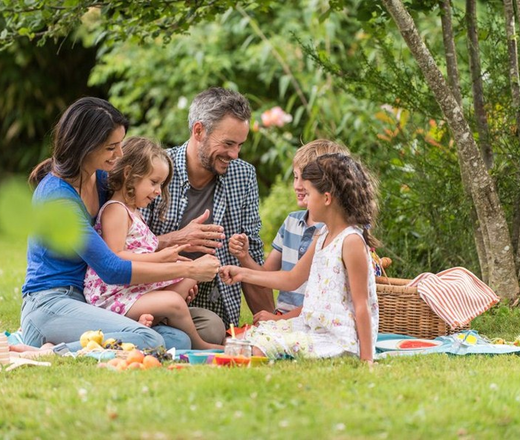 picnics